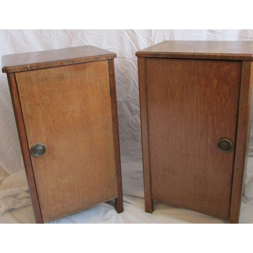 233 - PAIR  WALNUT POT CUPBOARDS