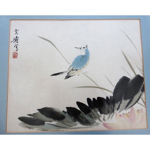 558 - CHINESE WATER COLOURS LABEL WANG XUE TAO (5), each approx. 28 x 23.5 cm