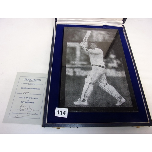 114 - EX DUNCAN FEARNLEY PRIVATE COLLECTION IAN BOTHAM  LIMITED EDITION DEPICTION OF IAN IN ACTION ON GRA... 