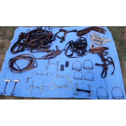 204 - A GOOD QUANTITY OF HORSE BITS STIRRUPS, BRIDAL BITS TOGETHER WITH LEATHER STRAPS, WITH GOOD BRASS AN... 