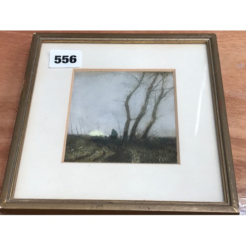 Lot 556       