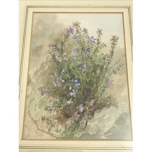 498 - GOOD QUALITY WATERCOLOUR DEPICTING FLOWERS TOGETHER WITH PENCIL SKETCH TREES