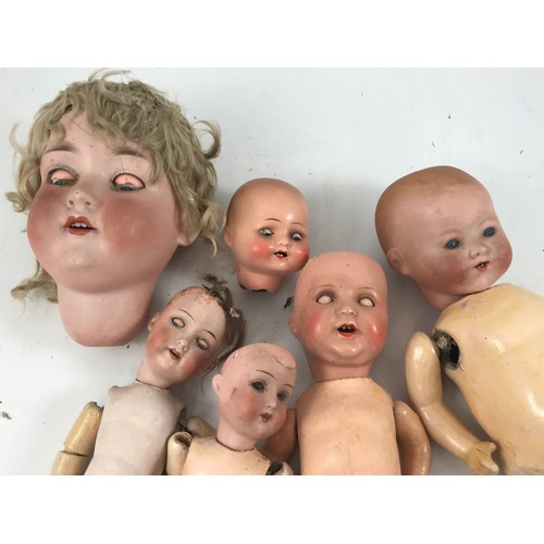 1787 - COLLECTION OF BISQUE HEAD DOLLS INC. ARMAND MARSEILLE 390 A 12 M, 390 A 5/0 X, 996 A 5/0 XM,, KAMMER... 