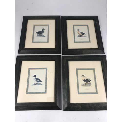 510 - MISC. PRINTS INCLUDING LARGE PRINT DEPICTING THE HOUSE OF LORDS, 4 FRAMED BIRD PLATES, FRAMED CIGARE... 