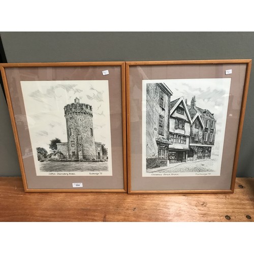 594 - JOY WILLIAMS PASTEL AND BRISTOL PRINTS (2)