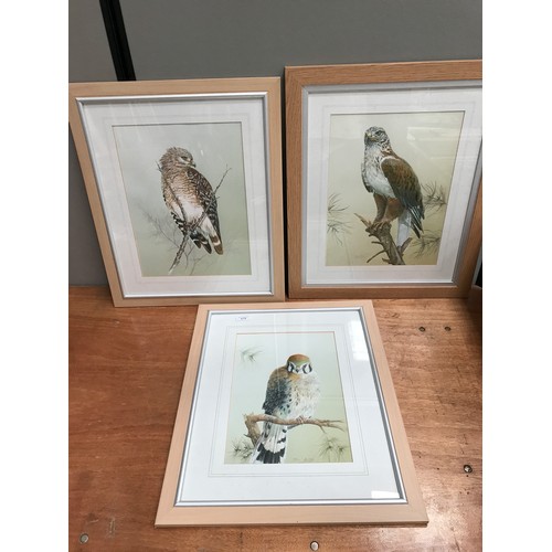 619 - JOHN EASTLEY, 3 WATERCOLOURS DEPICTING BIRDS OF PREY