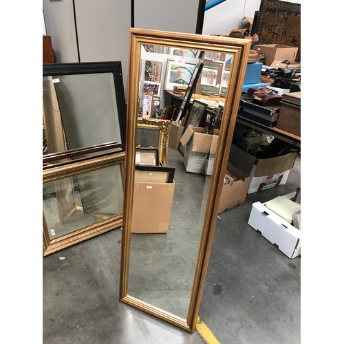 639 - MODERN BLUE BIRD MIRROR CORFU GILT 49X16 MIRROR