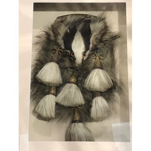 1661 - ARGYLL AND SUTHERLAND HIGHLANDERS OFFICER'S BADGERS HEAD SPORRAN MOUNTED FOR DISPLAY IN A BOX FRAME