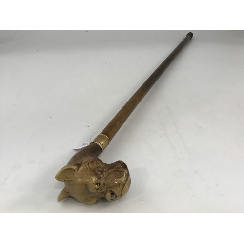 1830 - WALKING STICK WITH CARVED BULLDOG HEAD HANDLE AND GLASS EYES