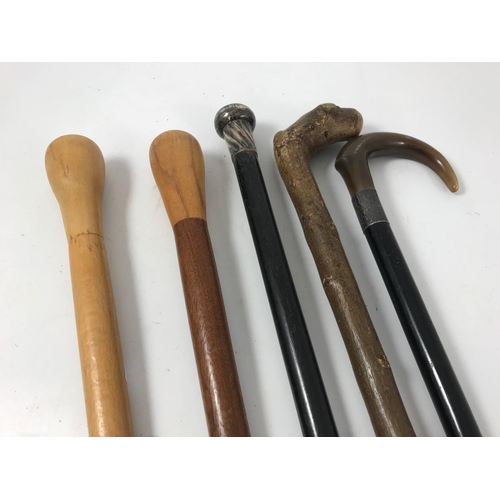 1143 - COLLECTION OF 4 WALKING STICKS, ONE WITH SILVER BAND AND A SILVER TOPPED GENTLEMANS WALKING STICK