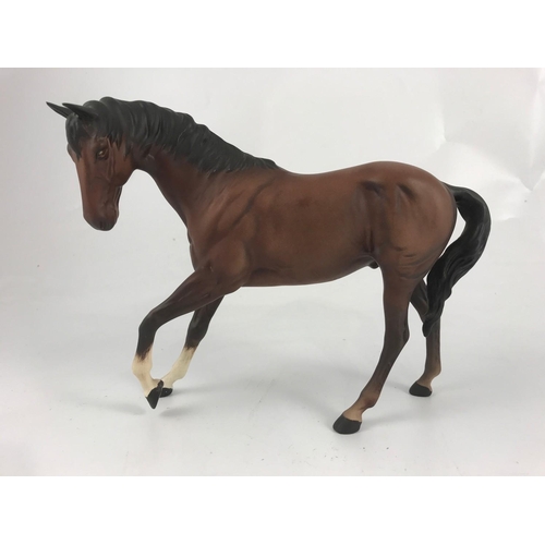 Lot 709       