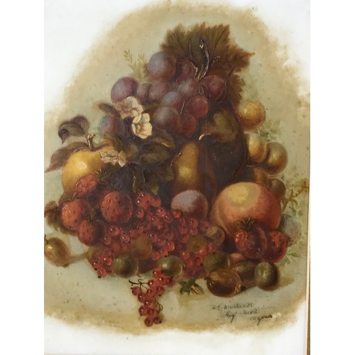 1340 - PR PORCELAIN PAINTED PLAQUES FLOWERS/FRUIT SIGNED, approx. 25 x 18 cm