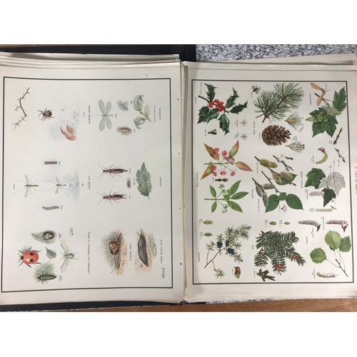 1391 - FOLIO CONTAINING A LARGE QTY. OF SCHOOL EDUCATIONAL POSTERS, MOSTLY NATURAL HISTORY, approx. 60