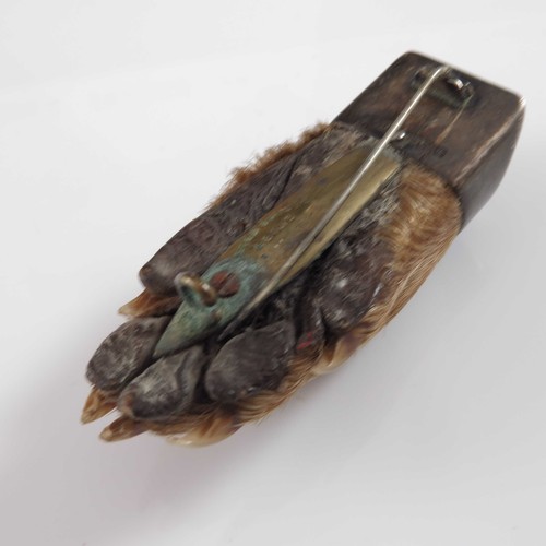 811 - OTTERS FOOT MOUNTED AS A BROOCH WITH PETER SPICER MOUNT BCOH 1932