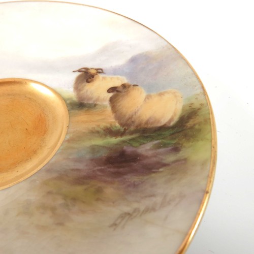 360 - ROYAL WORCESTER CUP AND SAUCER PAINTED WITH SHEEP SIGNED BARKER