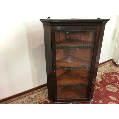 201 - CORNER DISPLAY CABINET, APPROX 119CM TALL  X 80CM WITH GLAZED DOOE AND SHELVES