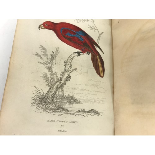 325 - SIR THOMAS DICK LAUDER AND CAPT. THOMAS BROWN, THE MISCELLANY OF NATURAL HISTORY, VOL. 1 PARROTS, ED... 