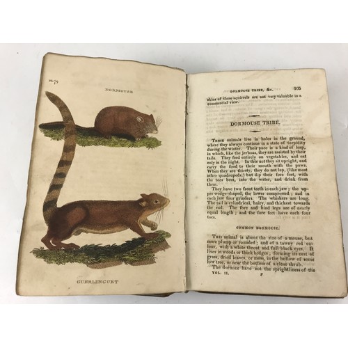 299 - THE NATURAL HISTORY OF QUADRUPEDS AND CETACEOUS ANIMALS, VOL. II, BRIGHTLY & CO. 1811, COLOURED PLAT... 