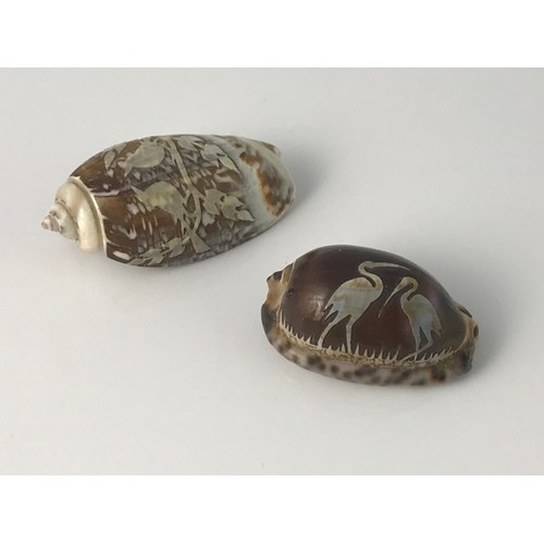 470 - 2 SEASHELLS WITH CARVED CAMEO TYPE BIRD DECORATION