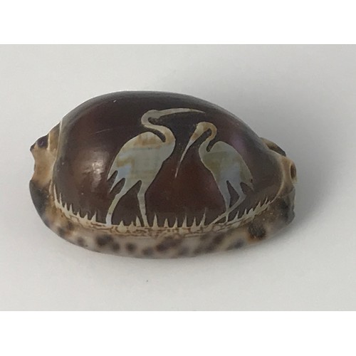 470 - 2 SEASHELLS WITH CARVED CAMEO TYPE BIRD DECORATION