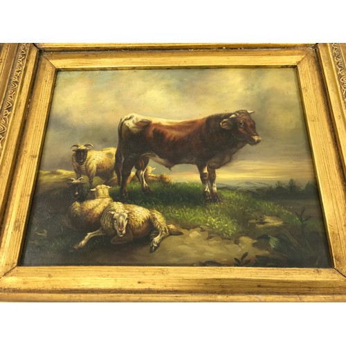 35 - OIL ON CANVAS IN GOOD QUALITY FRAME DEPICTING SHEEP AND CATTLE IN THE MANNER OF SIDNEY COOPER, appro... 