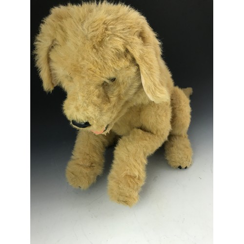 91 - BATTERY OPERATED LABRADOR DOG APPROX. 60 cm HIGH