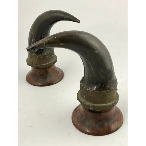 474 - PAIR OF IMPRESSIVE HORNS ON PEDESTAL MOUNTS APPROX 26 cms HIGH OVERALL