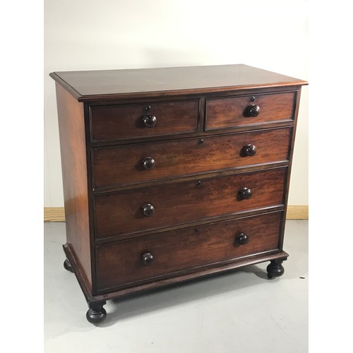 1204 - VICTORIAN MAHOGANY CHEST OF 2 OVER 3 DRAWERS WITH BUN FEET AND TURNED HANDLES