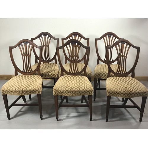 1130 - SET OF 6 HEPPLEWHITE STYLE SHIELD BACK DINING CHAIRS