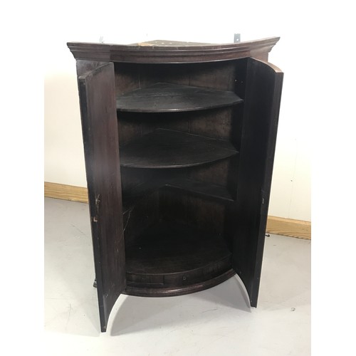 1231 - BOW FRONT MAHOGANY HANGING CORNER CUPBOARD