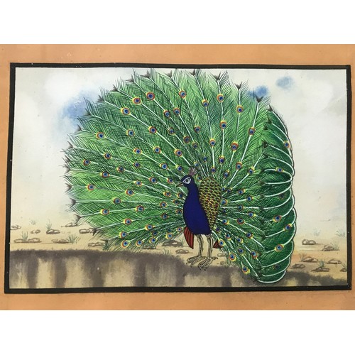 3021 - PAIR OF GOOD QUALITY WATER COLOURS DEPICTING PEACOCKS