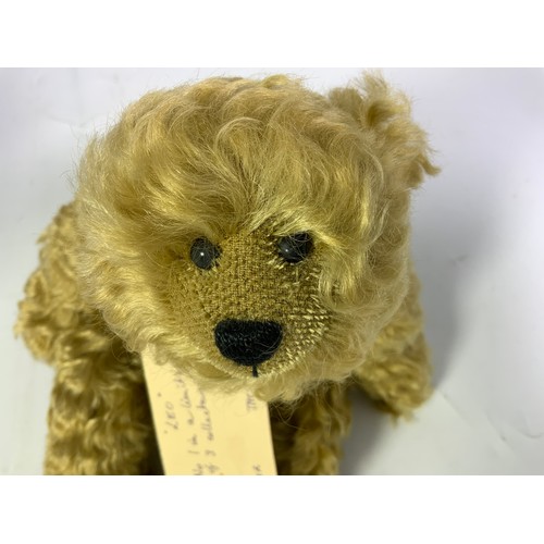 206 - BETTER CLASS OF BEAR 'LEO' LIMITED EDITION MOHAIR BEAR NUMBER 1 OF 3 BY P M HILLIER-BROOK AND A LAKE... 