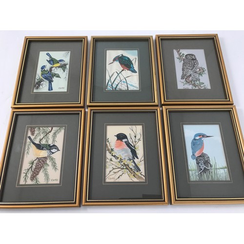 35 - SET OF 6 FRAMED CASH'S SILKS DEPICTING BIRDS