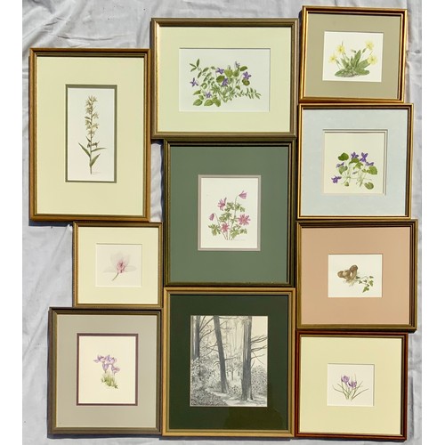 43 - MYRNA FRANCES COLLECTION OF FRAMED WATER COLOURS OF FLOWER STUDIES