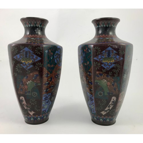 251 - PAIR OF GOOD QUALITY HEXAGONAL JAPANESE CLOISONNE VASES, EACH APPROX. 24 cm