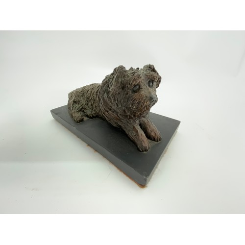 246 - BRONZE DEPICTING A NORFOLK TERRIER