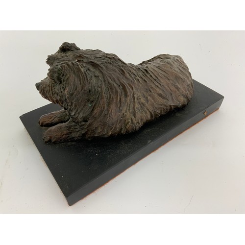 246 - BRONZE DEPICTING A NORFOLK TERRIER