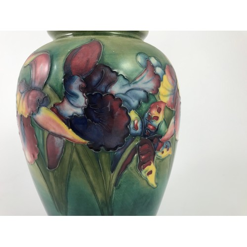 121 - GREEN GROUND MOORCROFT BALUSTER VASE WITH IRIS DECORATION 23.5cm TALL