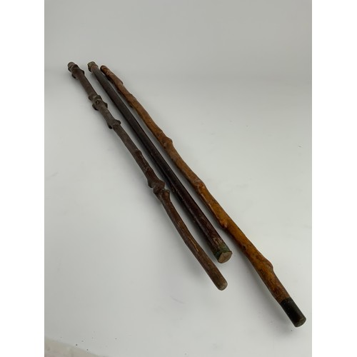 409 - OAK GALLERIED TRAY AND 3 WALKING STICKS