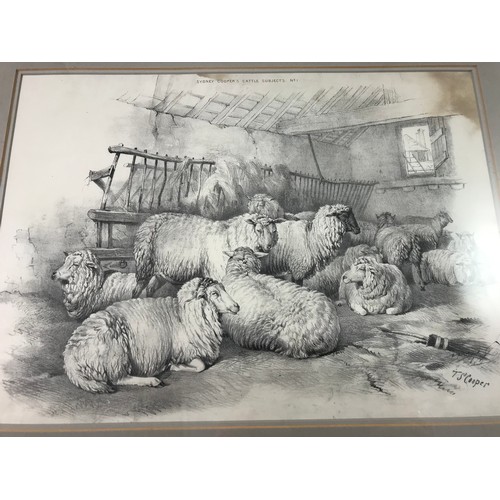 8 - SET OF 3 THOMAS SIDNEY COOPER CATTLE PRINTS