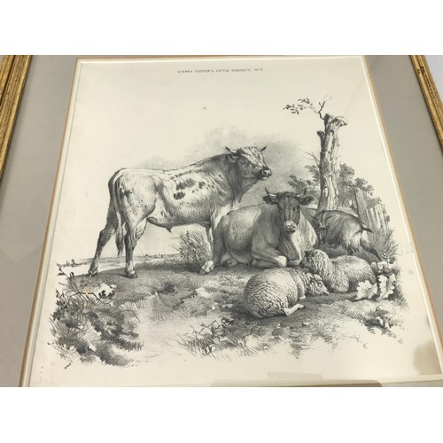 8 - SET OF 3 THOMAS SIDNEY COOPER CATTLE PRINTS