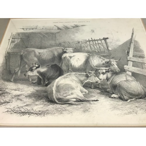 8 - SET OF 3 THOMAS SIDNEY COOPER CATTLE PRINTS