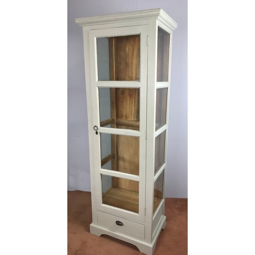 78 - GLAZED AND PAINTED FREE STANDING CABINET