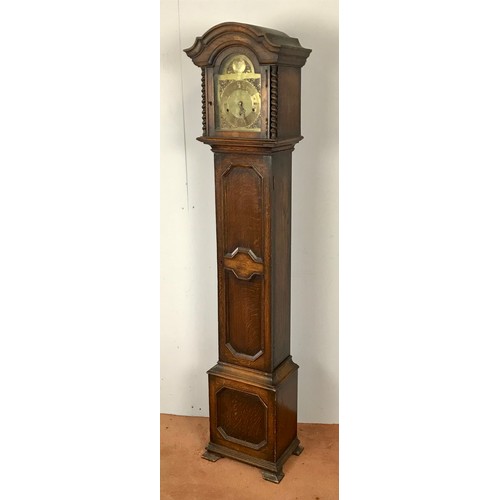 97 - OAK CASED TEMPUS FUGIT GRANDMOTHER TYPE CLOCK