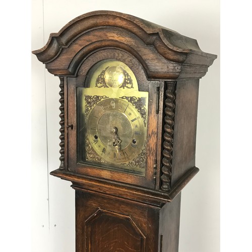 97 - OAK CASED TEMPUS FUGIT GRANDMOTHER TYPE CLOCK