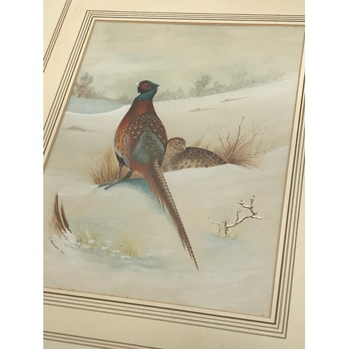 37 - T HODGSON PAIR OF WATER COLOURS DEPICTING PHEASANTS IN LANDSCAPE SCENES