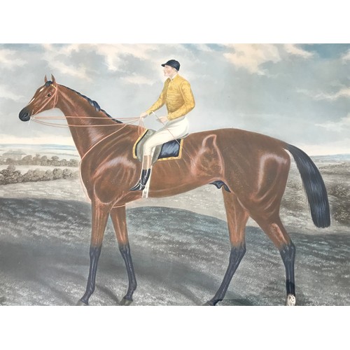 40 - LARGE FRAMED EQUESTRIAN COLOURED ENGRAVING DEPICTING 'ORMONDE', APPROX. 84 X 70 cm OVERALL