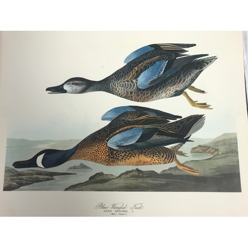 15 - AUDUBON FOLIO WITH WORDS BY GEORGE DOCK