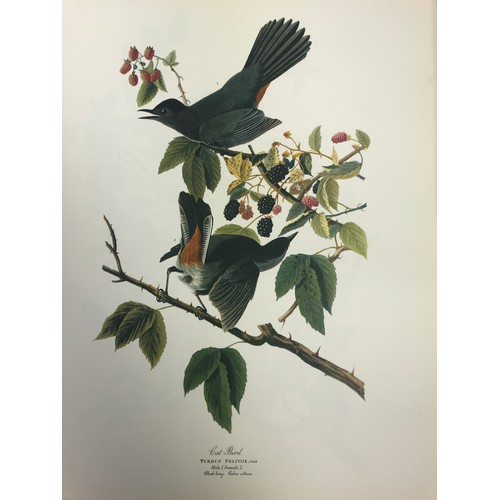 15 - AUDUBON FOLIO WITH WORDS BY GEORGE DOCK