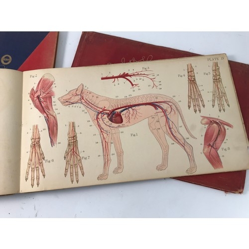 103 - MISC BOOKS INC. BAILLIERE'S ATLAS OF THE DOG, ITS ANATOMY AND PHYSIOLOGY DATED 1921, WITH HORSE AND ... 